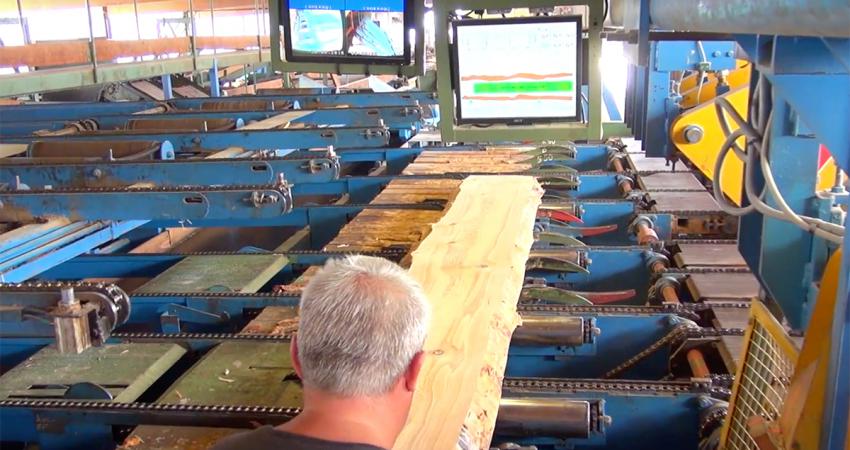 top-quality sawn timber