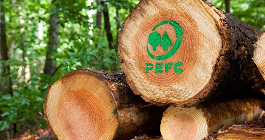softwood timber sourced