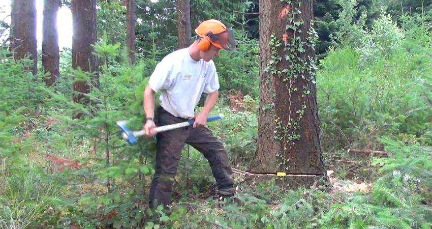  sawmill granted an Administrative Operating Permit