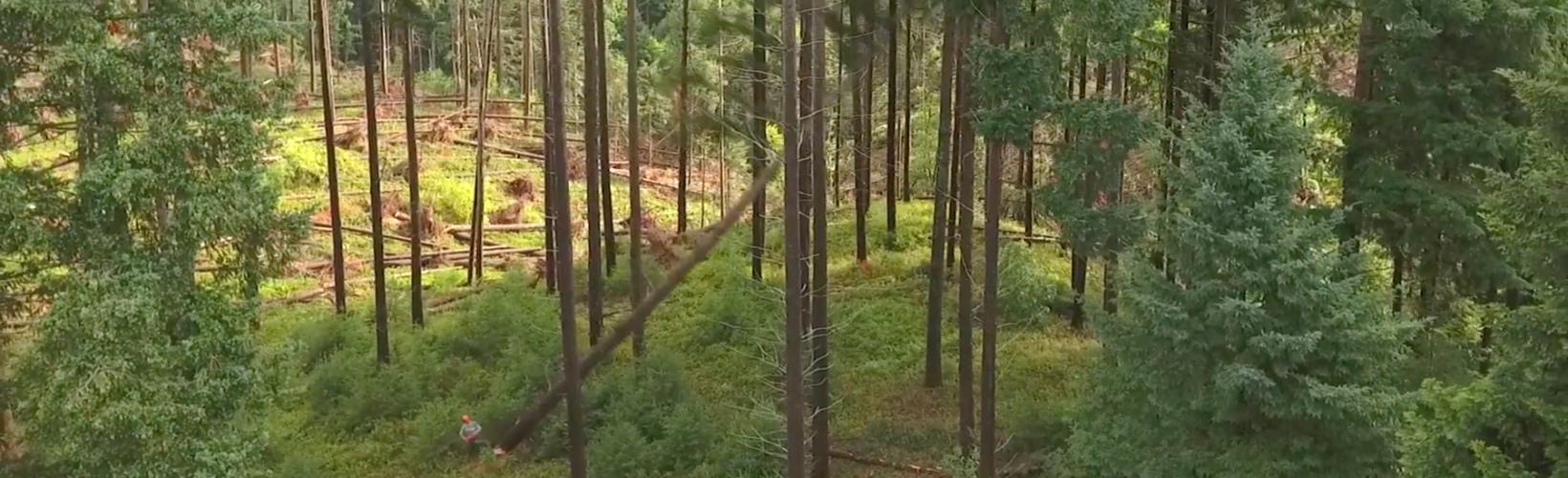  Scieries du Centre  An environmentally-friendly sawmill
 Clermont-ferrand